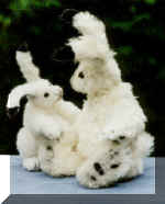 rabbits01.jpg (23400 bytes)